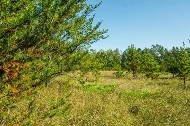 $874,000 | 5895 Mapleton Road South, Baxter, MN 56425