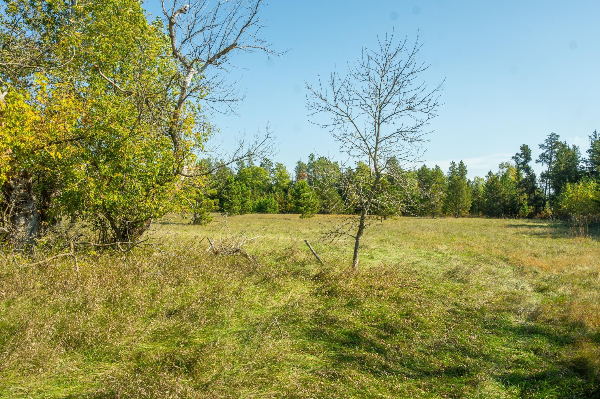 5895 Mapleton Road South Baxter, MN 56425 - Photo 22 of 50
