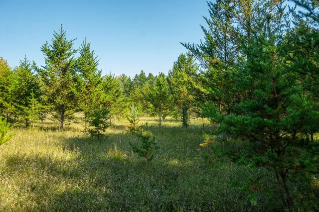 $874,000 | 5895 Mapleton Road South, Baxter, MN 56425