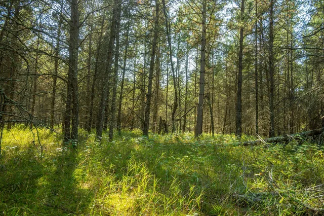 $874,000 | 5895 Mapleton Road South, Baxter, MN 56425