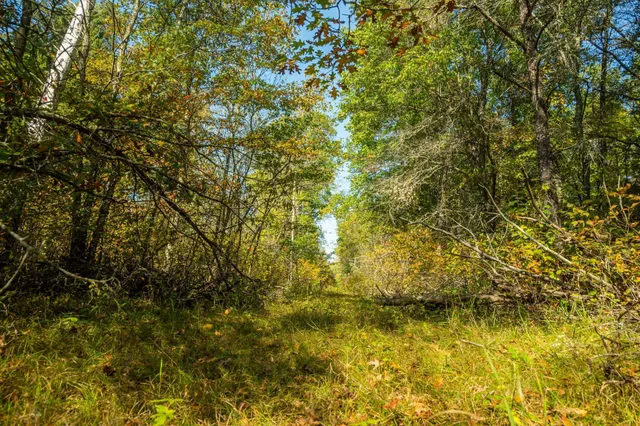 $874,000 | 5895 Mapleton Road South, Baxter, MN 56425