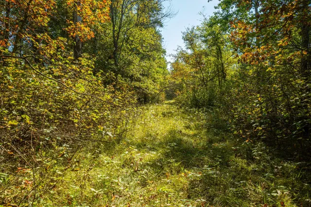 $874,000 | 5895 Mapleton Road South, Baxter, MN 56425