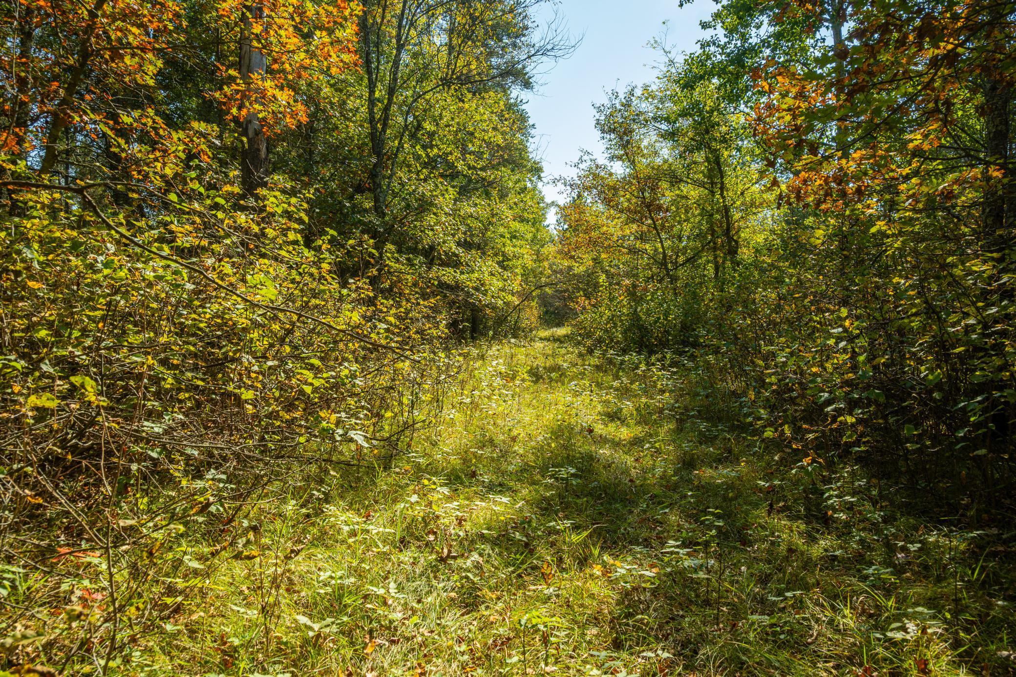 5895 Mapleton Road South Baxter, MN 56425 - Photo 26 of 50