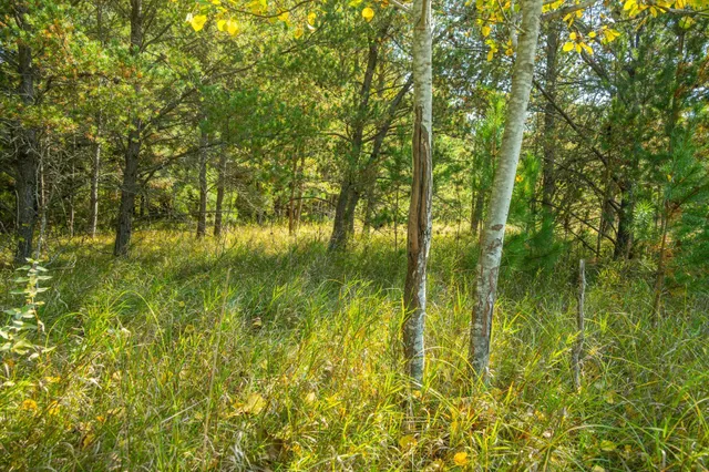 $874,000 | 5895 Mapleton Road South, Baxter, MN 56425