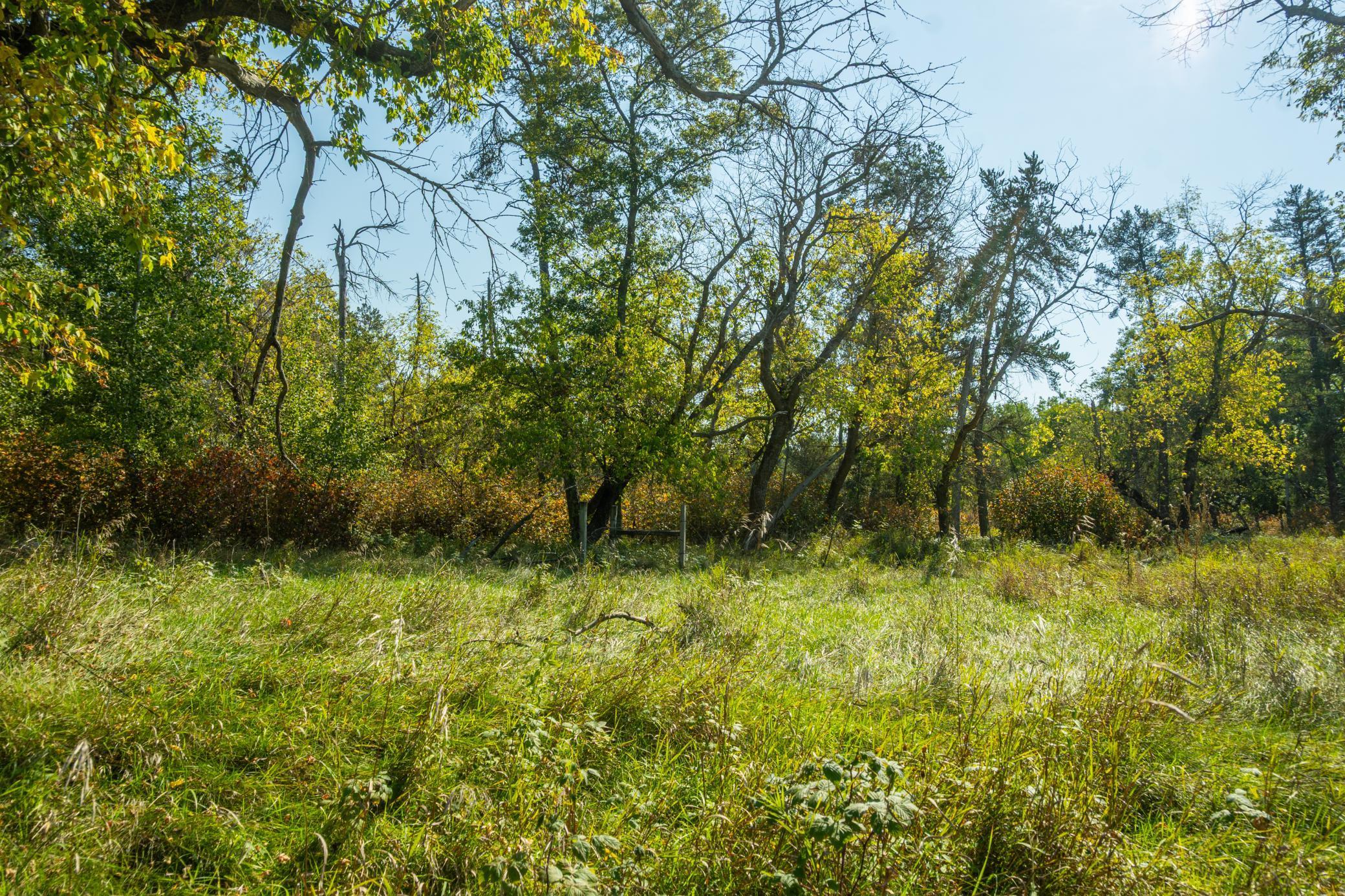 5895 Mapleton Road South Baxter, MN 56425 - Photo 29 of 50