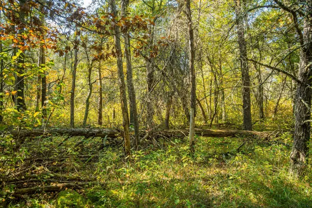 $874,000 | 5895 Mapleton Road South, Baxter, MN 56425