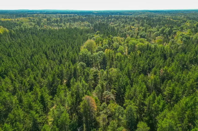 $874,000 | 5895 Mapleton Road South, Baxter, MN 56425