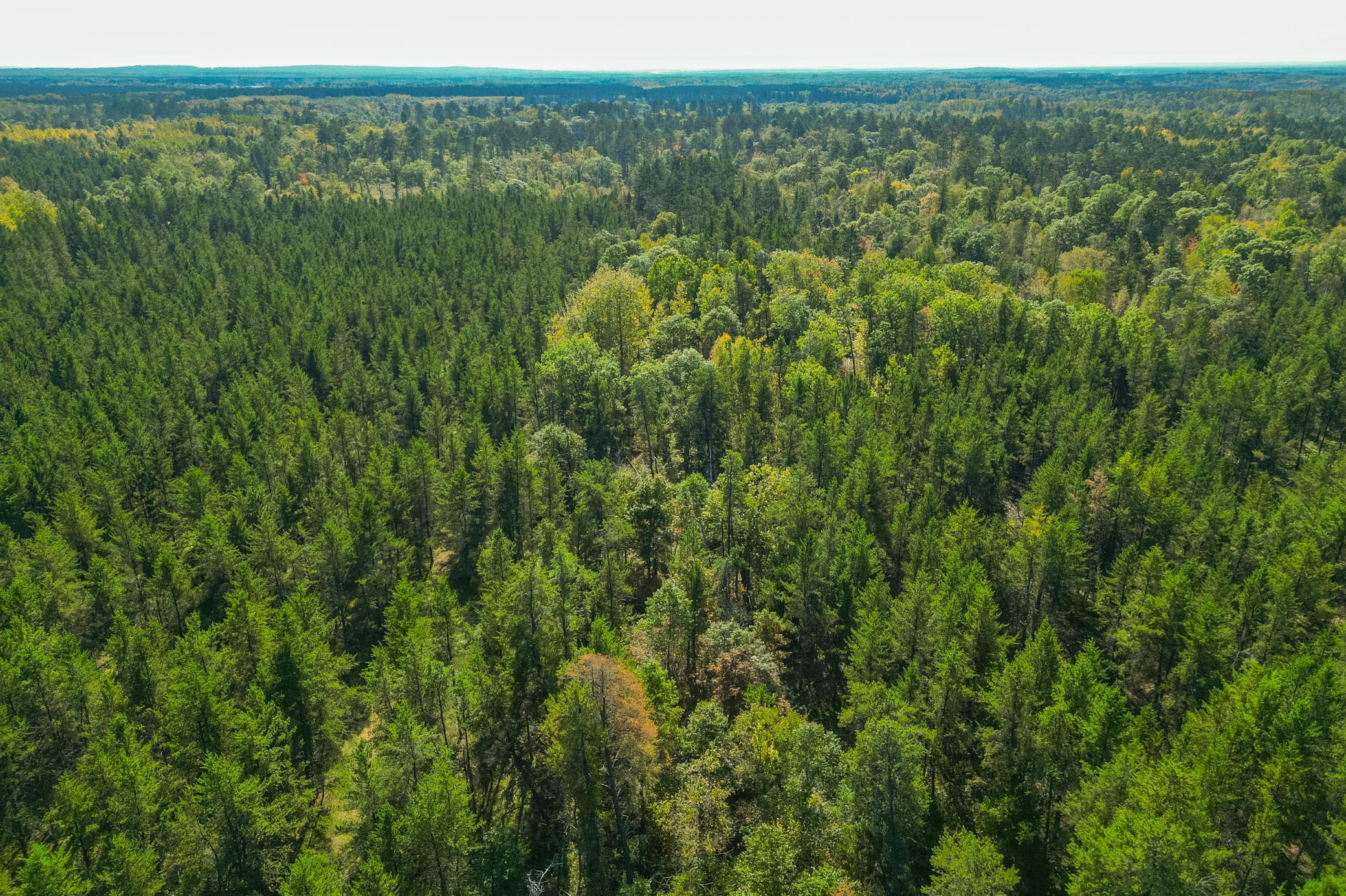 5895 Mapleton Road South Baxter, MN 56425 - Photo 10 of 50