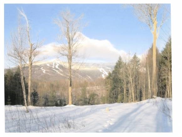 11-12 Robinson Springs Road Stowe, VT 05672 - Photo 1 of 1 Gallery Image 1