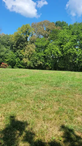a view of a green field with lots of bushes