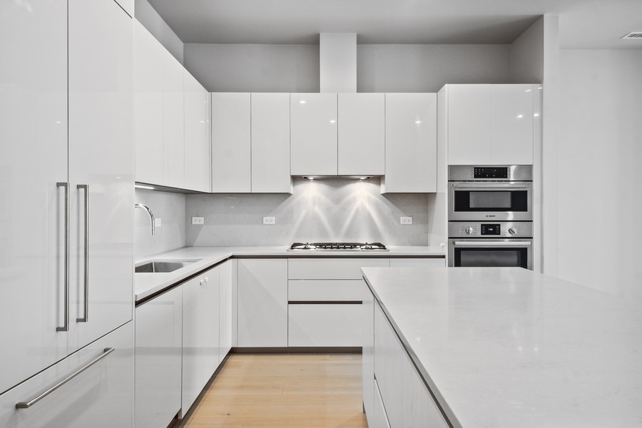 323 South Racine Avenue, Unit 2D Chicago, IL 60607 - Photo 8 of 20 Gallery Image 8
