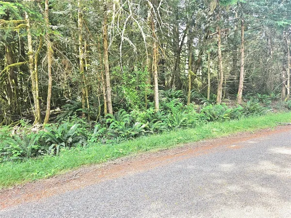 $37,500 | 124 East Go Onna Drive, Quilcene, WA 98376