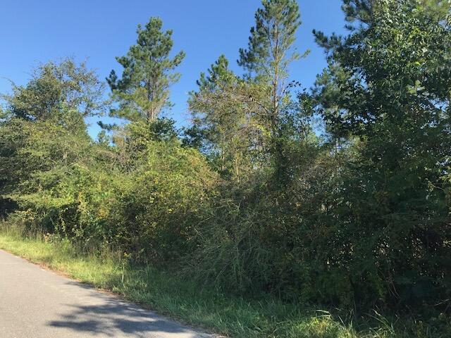 19 Athens Road Calhoun, TN 37309 - Photo 13 of 14 CHestuee 19 road
