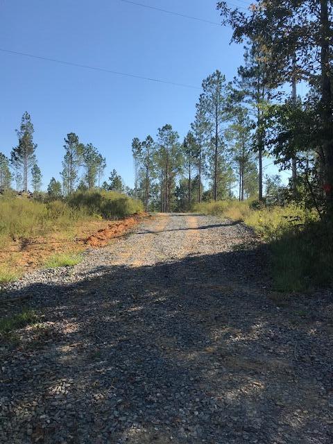 19 Athens Road Calhoun, TN 37309 - Photo 5 of 14 CHestuee 19 20 line 2