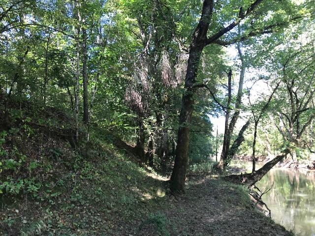 19 Athens Road Calhoun, TN 37309 - Photo 7 of 14 CHestuee 19 riverfront 2