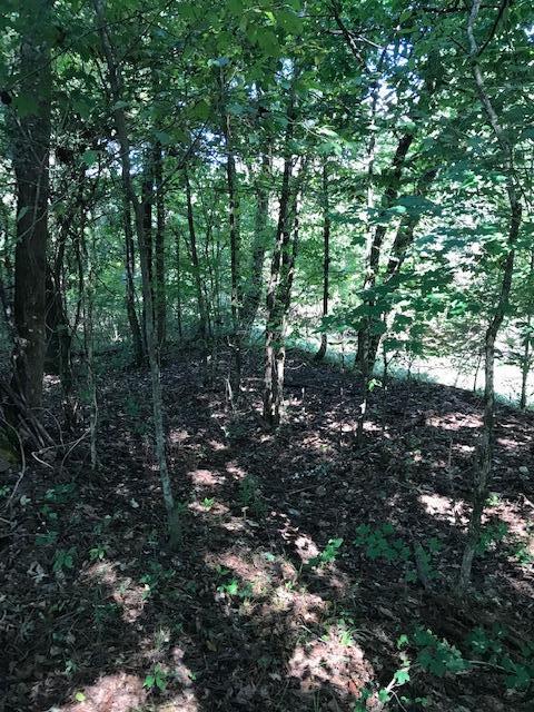 19 Athens Road Calhoun, TN 37309 - Photo 10 of 14 CHestuee 19 tree