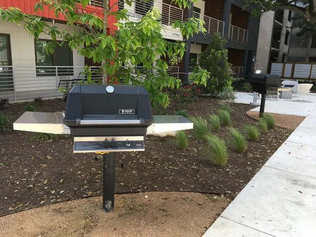 a view of a yard with plants