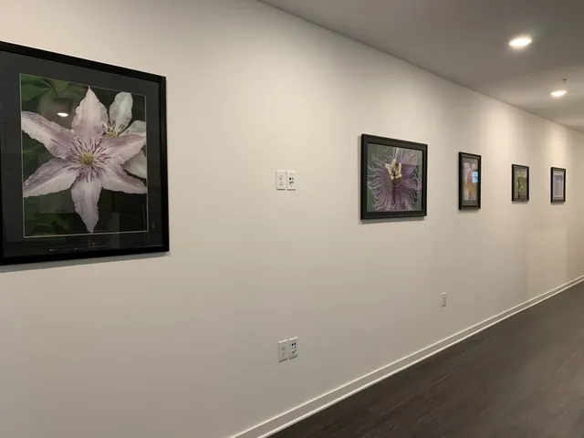 a view of a hallway with a painting on the wall