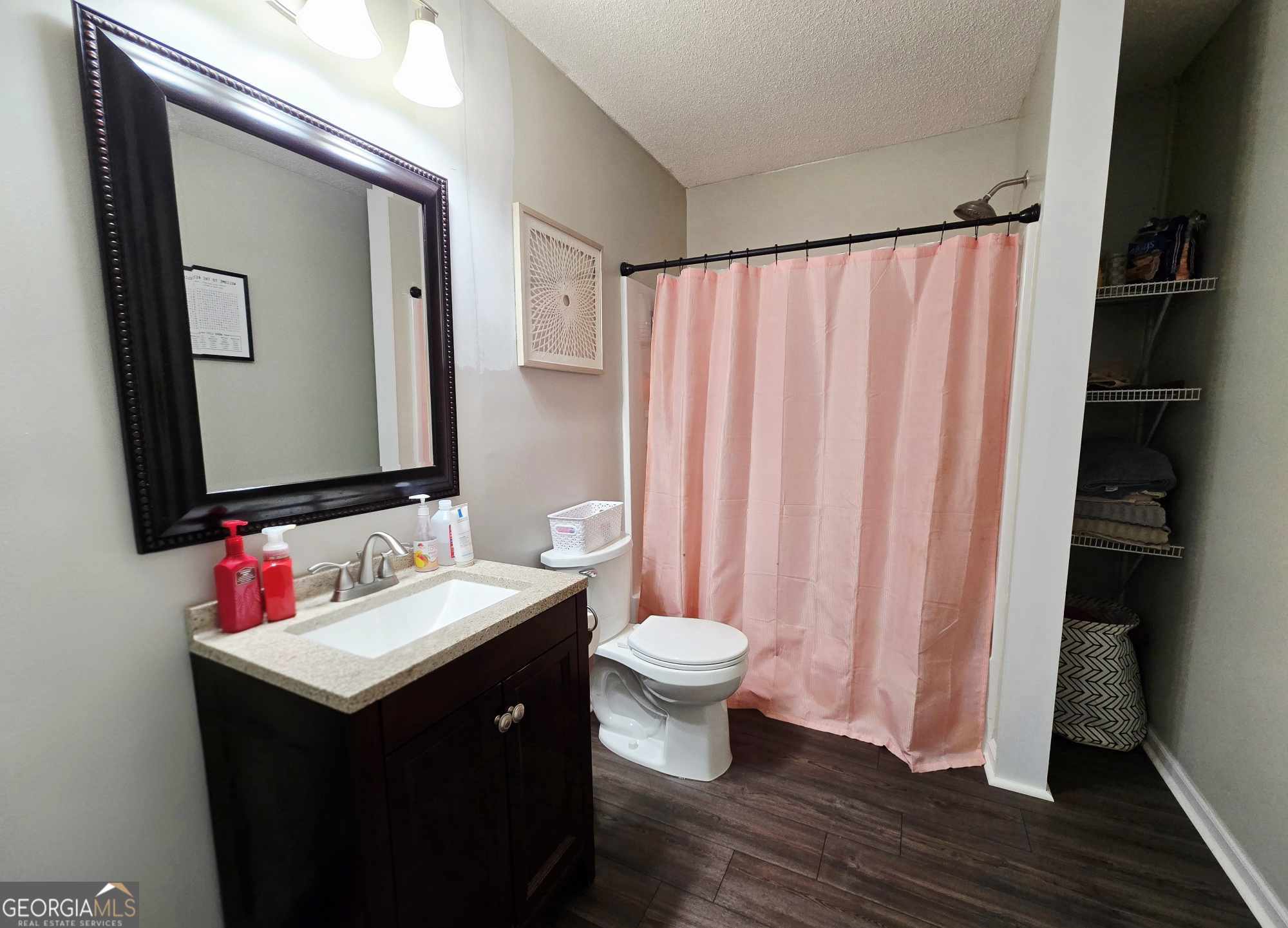 10 Shannons Lane Comer, GA 30629 - Photo 44 of 50 a bathroom with a sink vanity mirror and toilet