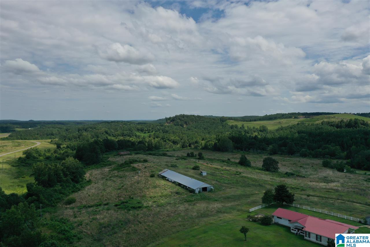 428 Coalbed Road Carbon Hill, AL 35549 - Photo 6 of 33