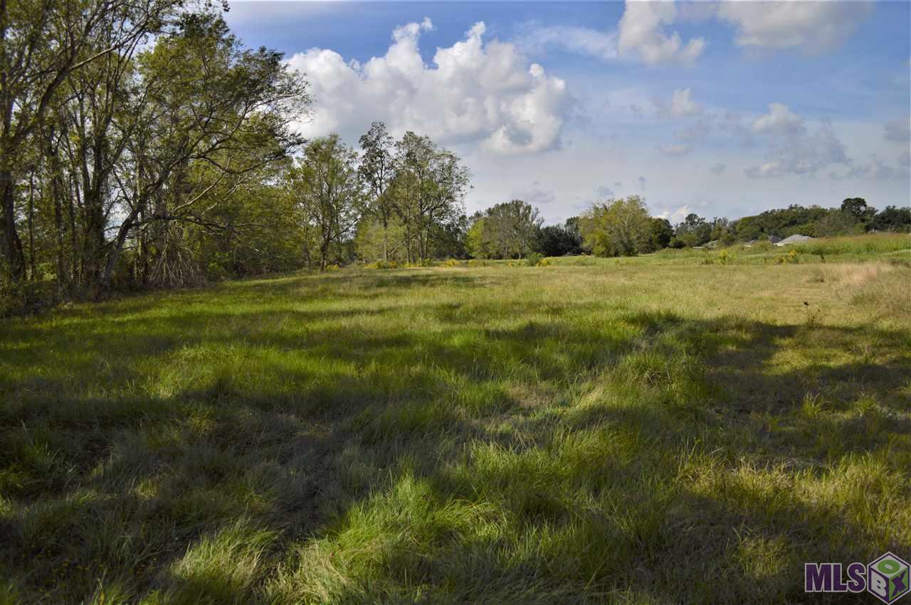 Lot # Lot Drive Geismar, LA 70734 - Photo 2 of 3