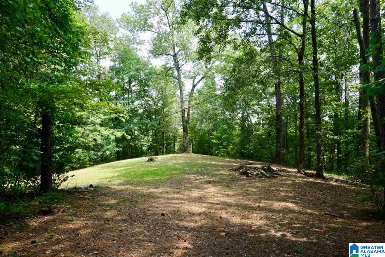893 Old Patton Ferry Road, Unit 2 Adger, AL 35006 - Photo 5 of 9