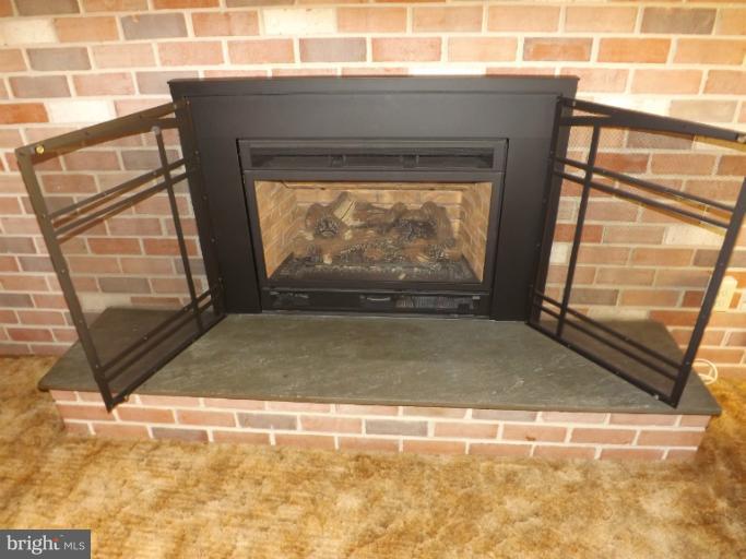 3412 Falling Green Road Olney, MD 20832 - Photo 11 of 30 High end - Gas burning fireplace