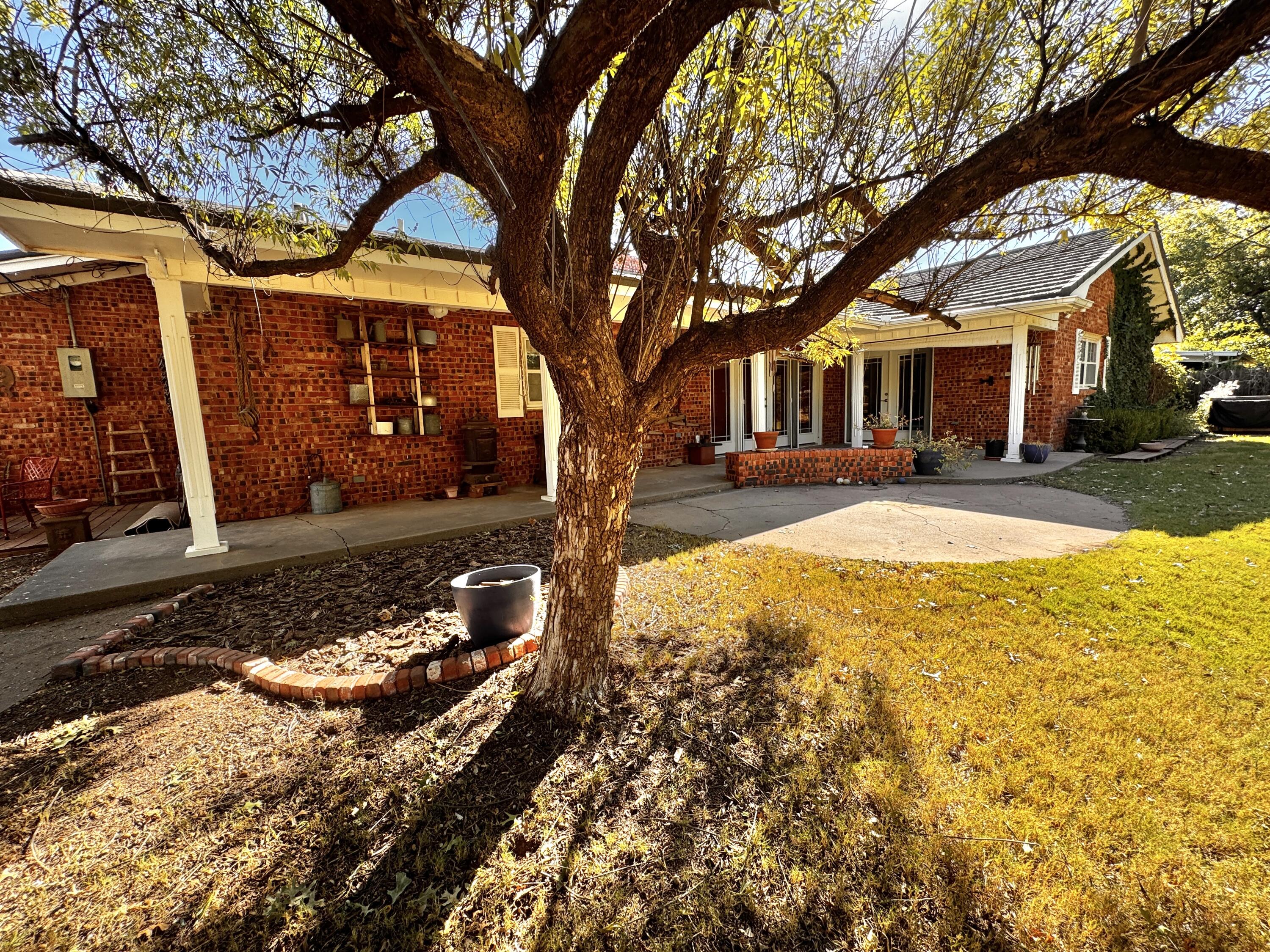 1403 Amarillo Plainview, TX 79072 - Photo 43 of 48 a view of a yard with a tree