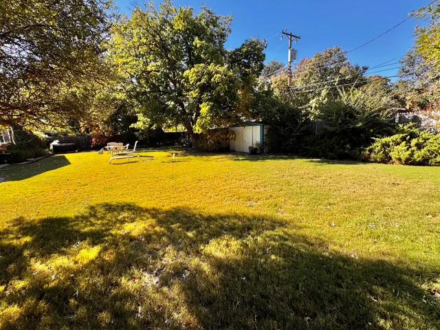 a view of a back yard with plants