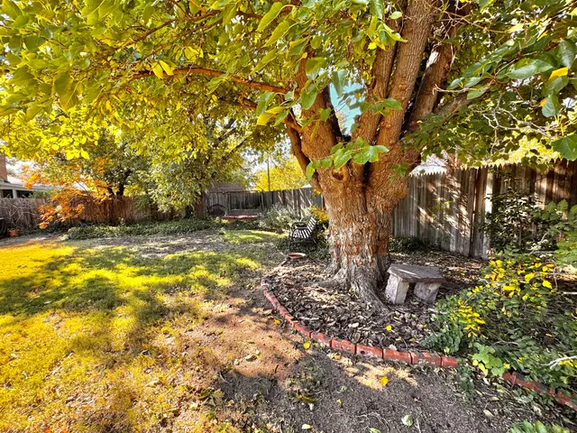 a view of backyard with wooden fence and trees