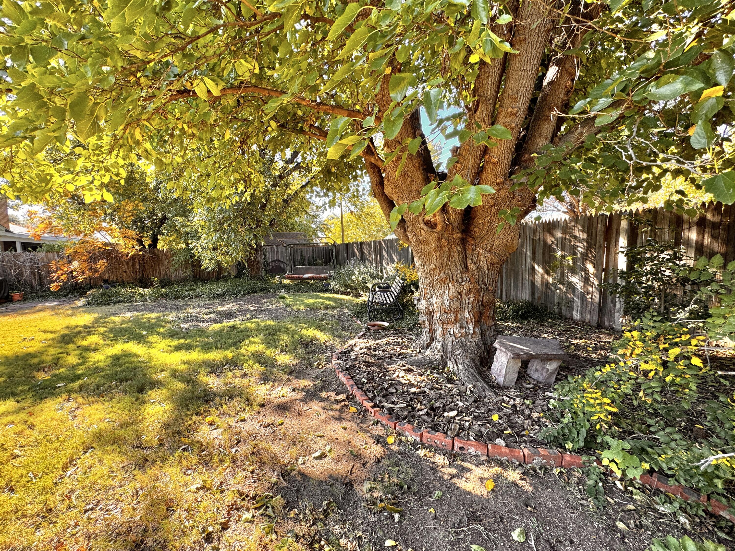 1403 Amarillo Plainview, TX 79072 - Photo 46 of 48 a backyard of a house with fountain table and chairs