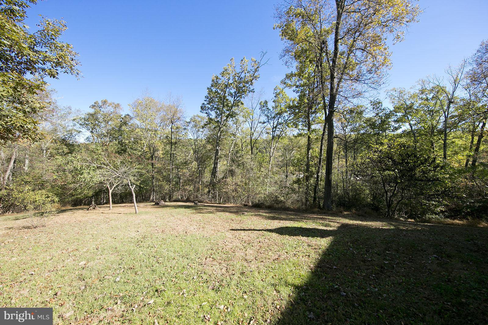 496 Audubon Road Hedgesville, WV 25427 - Photo 26 of 30 a view of outdoor space with trees all around