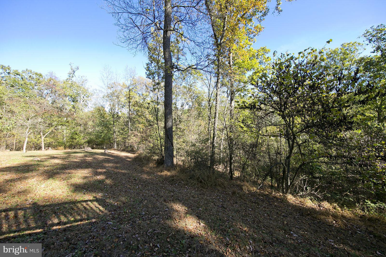 496 Audubon Road Hedgesville, WV 25427 - Photo 27 of 30 a view of a forest filled with trees