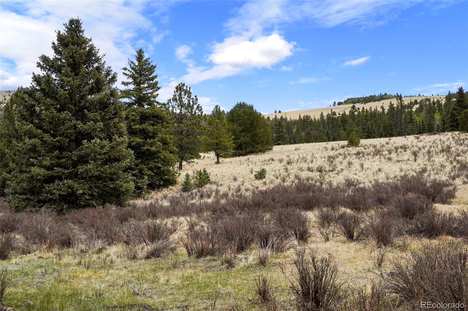 10801 County Road Del Norte, CO 81132 - Photo 41 of 48