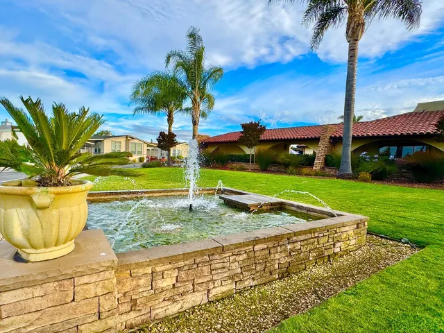 a view of a yard with palm trees