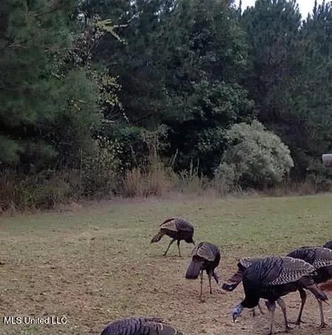 $316,920 | Columbia Purvis Road, Columbia, MS 39429