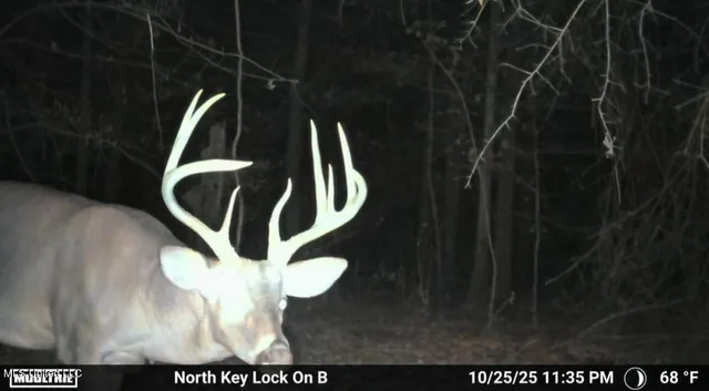 $316,920 | Columbia Purvis Road, Columbia, MS 39429