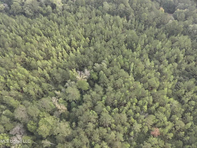 $316,920 | Columbia Purvis Road, Columbia, MS 39429