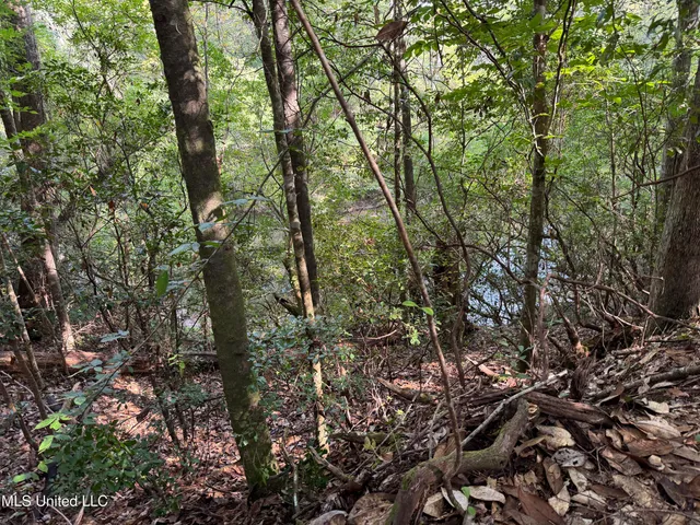 $316,920 | Columbia Purvis Road, Columbia, MS 39429