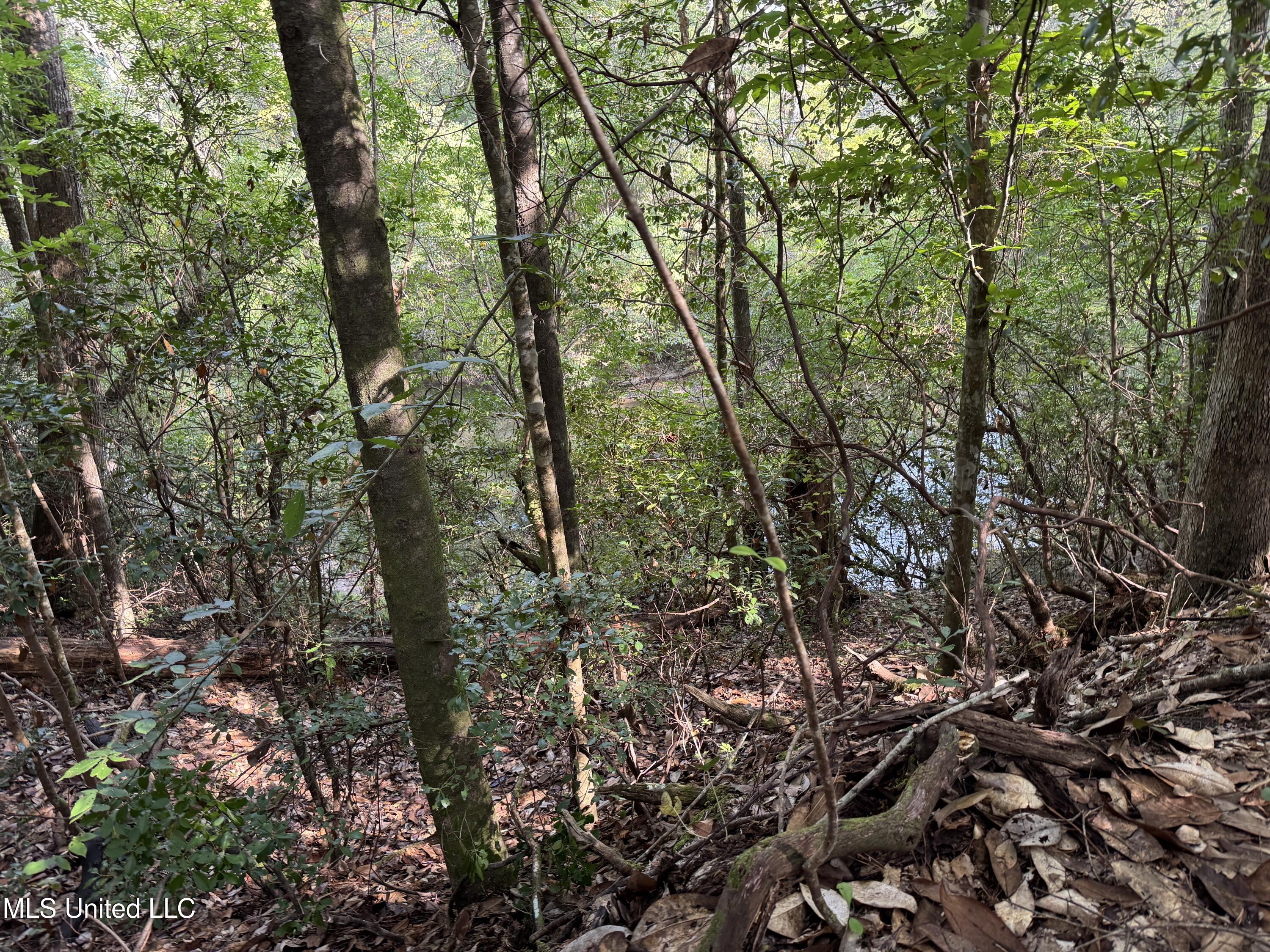 Columbia Purvis Road Columbia, MS 39429 - Photo 25 of 29 IMG_0386