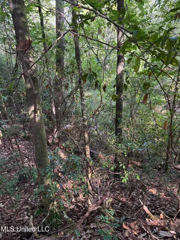 $316,920 | Columbia Purvis Road, Columbia, MS 39429