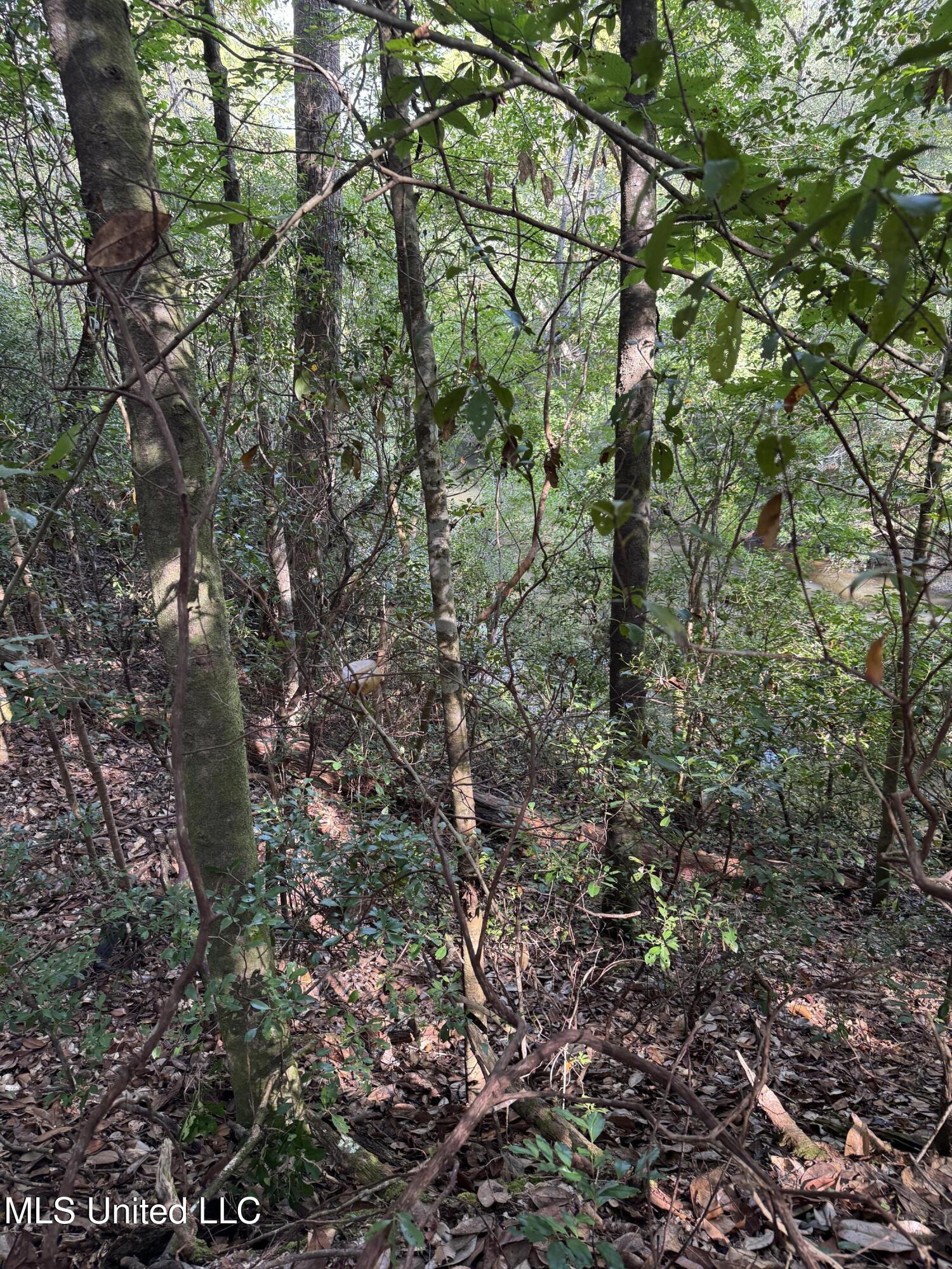 Columbia Purvis Road Columbia, MS 39429 - Photo 26 of 29 IMG_0388