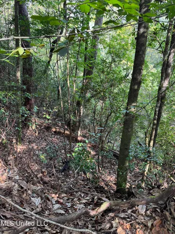 $316,920 | Columbia Purvis Road, Columbia, MS 39429