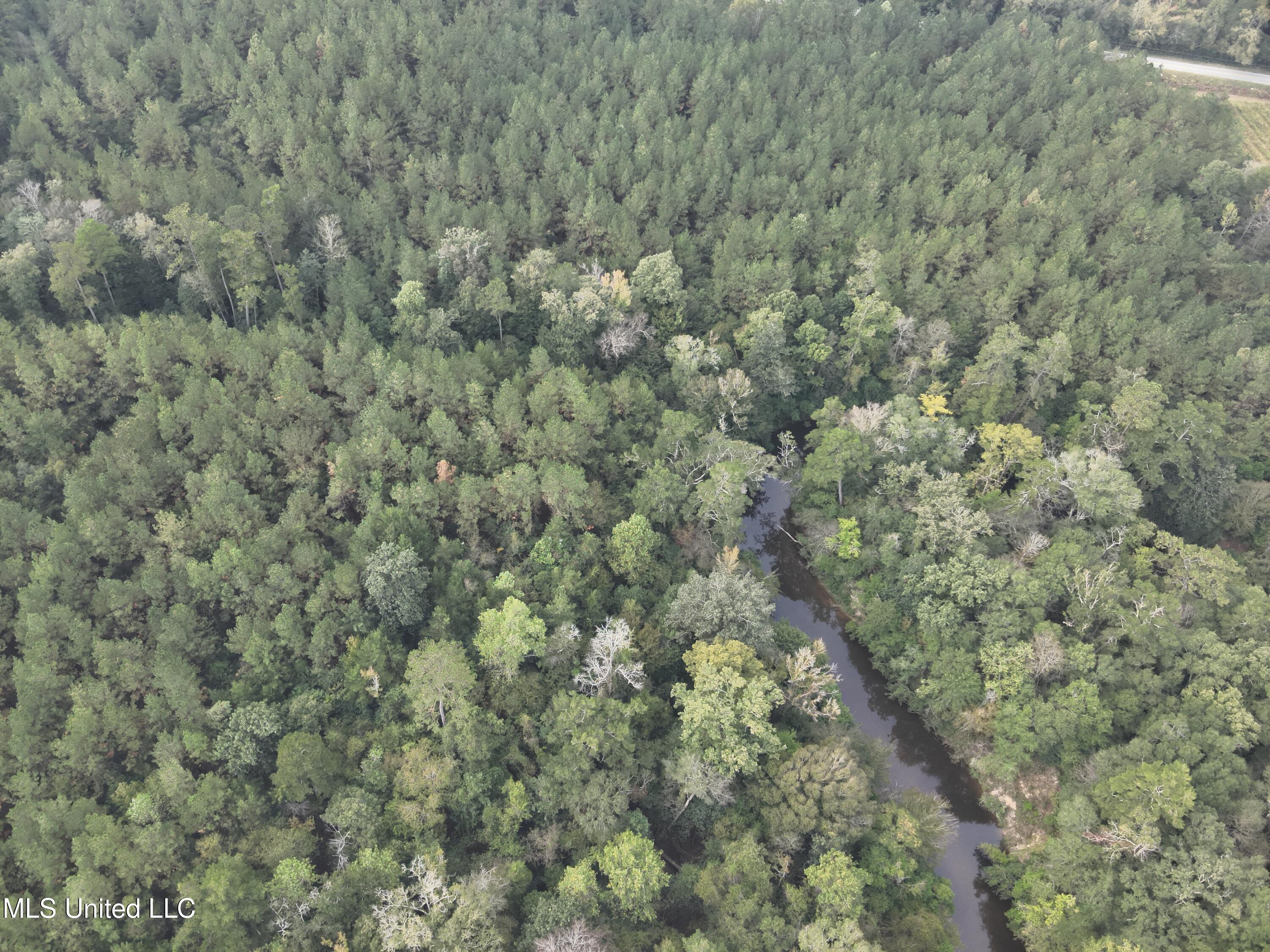 Columbia Purvis Road Columbia, MS 39429 - Photo 3 of 29 DJI_20251008093524_0032_V
