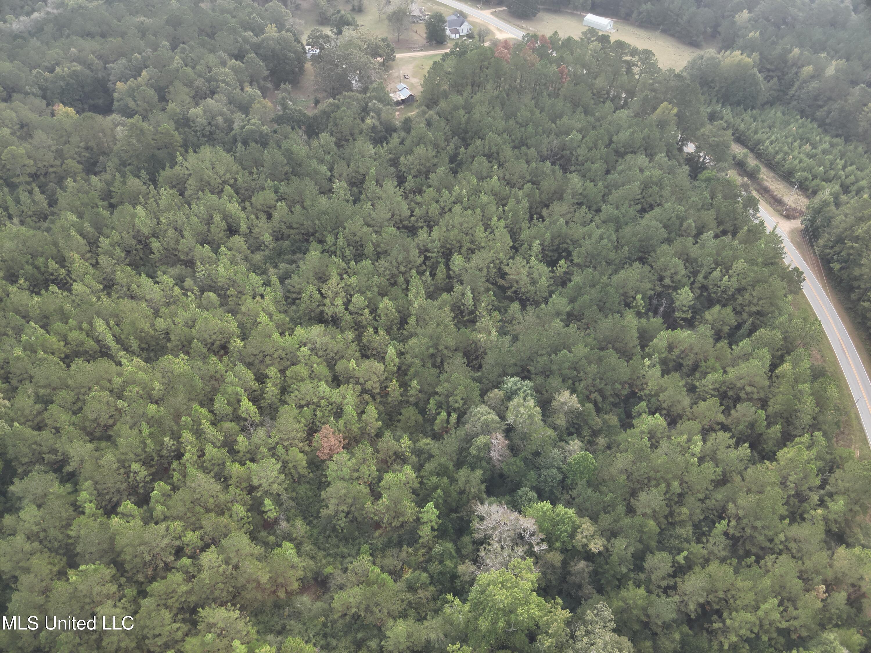 Columbia Purvis Road Columbia, MS 39429 - Photo 4 of 29 DJI_20251008093614_0034_V