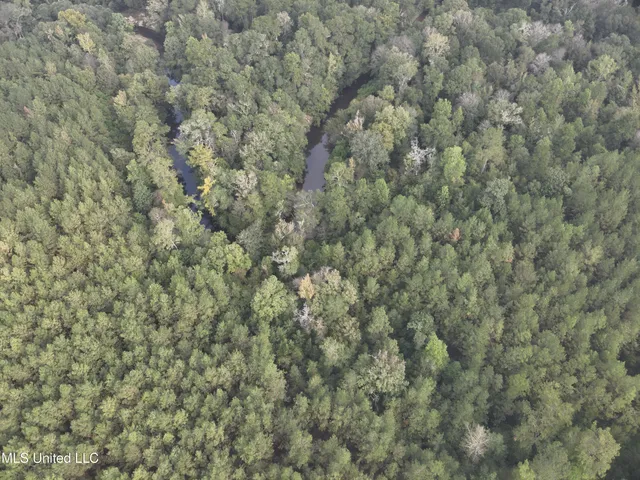 $316,920 | Columbia Purvis Road, Columbia, MS 39429