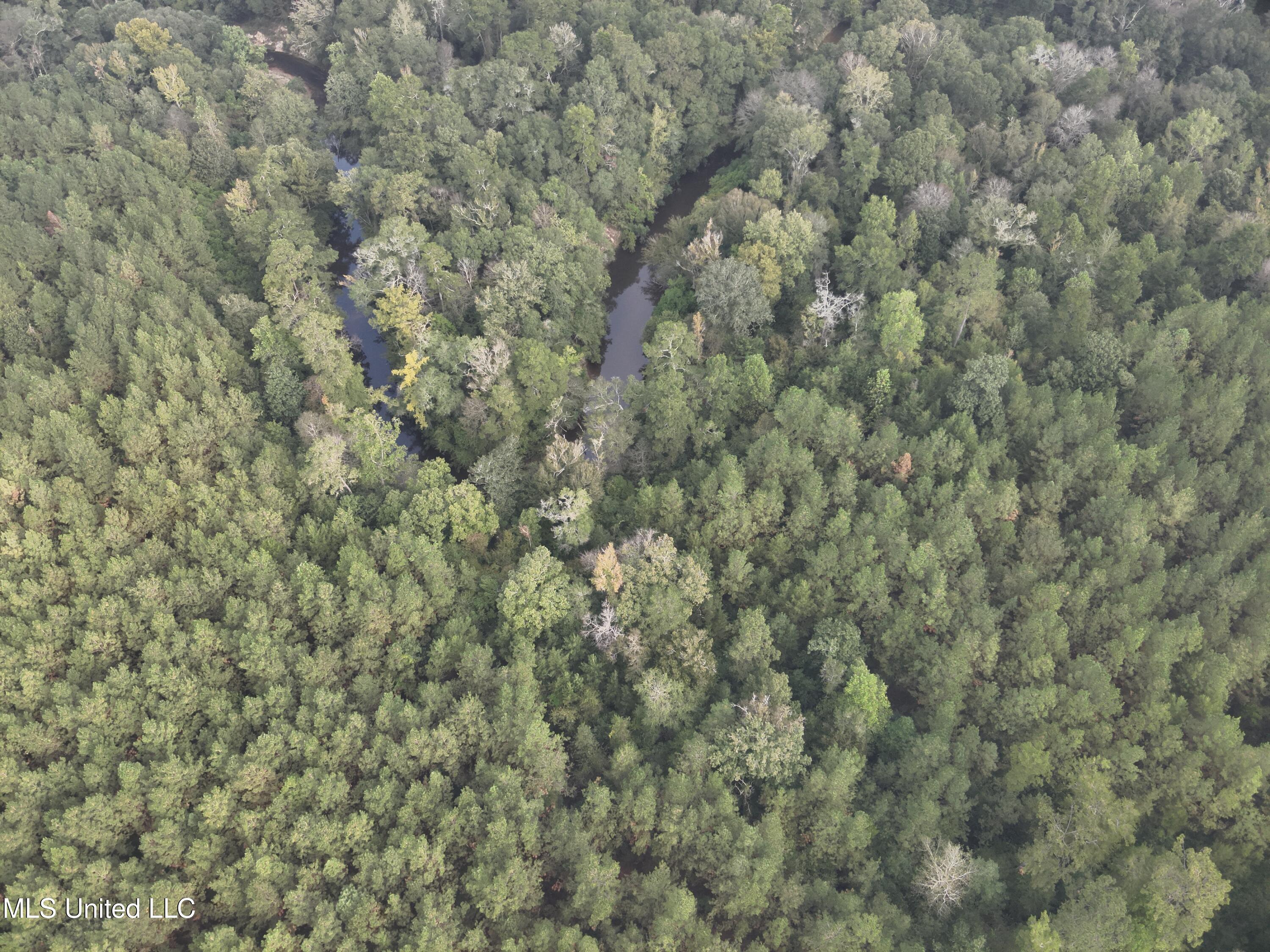 Columbia Purvis Road Columbia, MS 39429 - Photo 7 of 29 DJI_20251008093312_0020_V