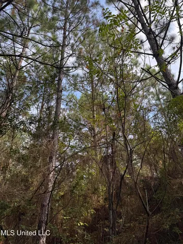 $316,920 | Columbia Purvis Road, Columbia, MS 39429