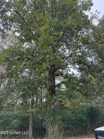 $316,920 | Columbia Purvis Road, Columbia, MS 39429