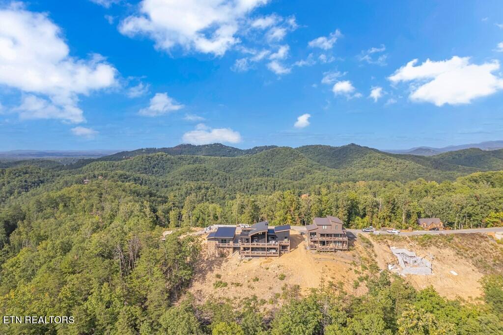 2665 Cloud View Drive Sevierville, TN 37862 - Photo 44 of 46 53